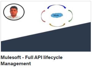 Mulesoft - Full API lifecycle Management